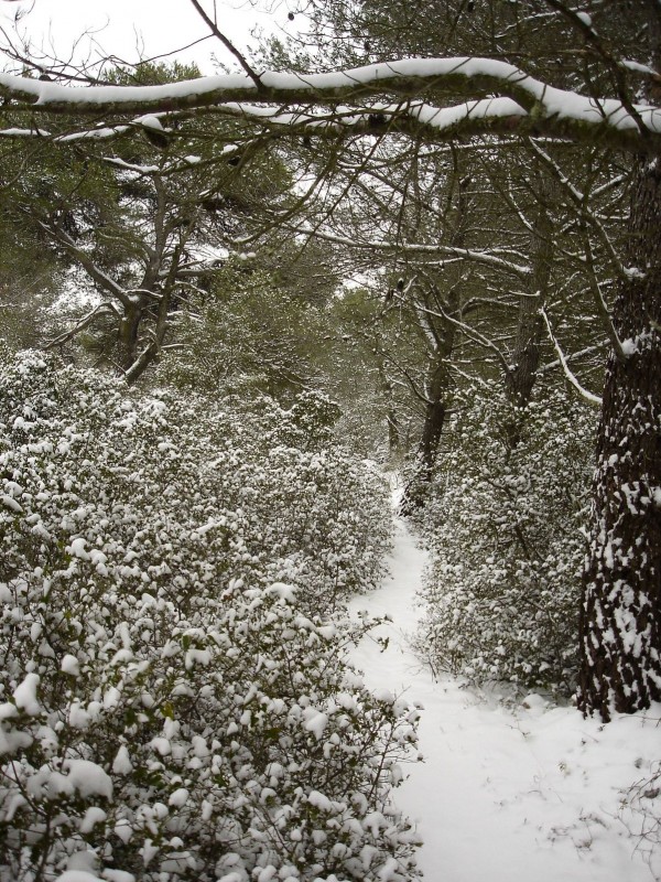 #5 Génial! : L Génial! : L'explication de l'adjectif pour le vallon du vieux Chêne Blanc...
