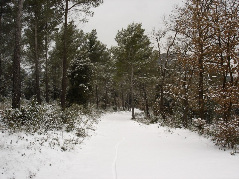 #6 Neige vierge : Pas un seul quad ou 4x4!!! C Neige vierge : Pas un seul quad ou 4x4!!! C'est à noté!
Très agréable montée sur cette piste enneigée.