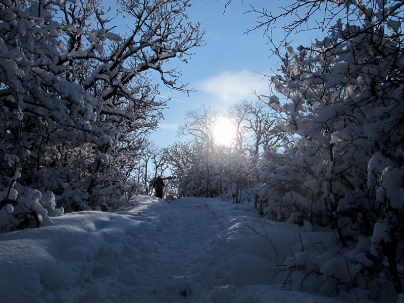 #5 les chemins sur le sommet : trop beau les chemins sur le sommet : trop beau