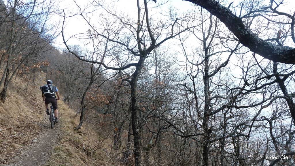 Mont Jalla : sentier menant à l'abri forestier