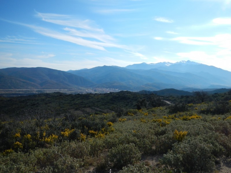 #1 La Canigou : Samedi Soir La Canigou : Samedi Soir