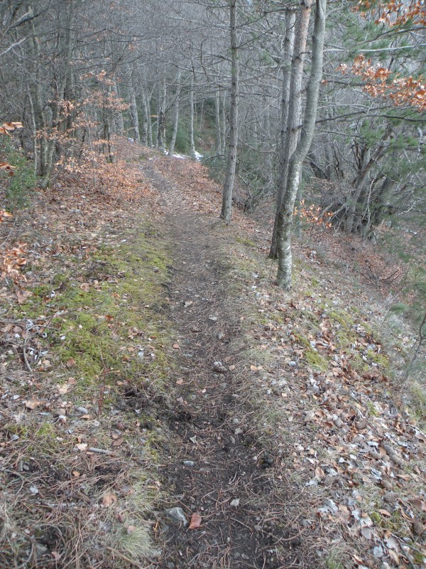 #6 photo6 : Le sentier pour descendre est assez lisse photo6 : Le sentier pour descendre est assez lisse