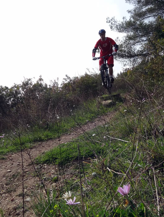 #1 Saut fleuri : Tremplin de la descente des ruches Saut fleuri : Tremplin de la descente des ruches