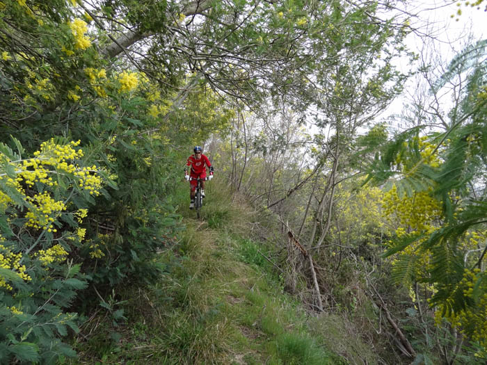 #2 Sentier du Rouret : A nouveau praticable. Sentier du Rouret : A nouveau praticable.