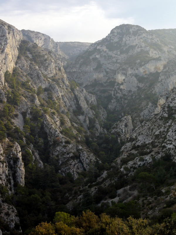 Magnifique combe.... : je la ferai à pieds!