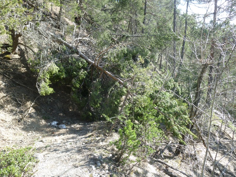 #1 début de la descente : ça casse bien le rythme début de la descente : ça casse bien le rythme