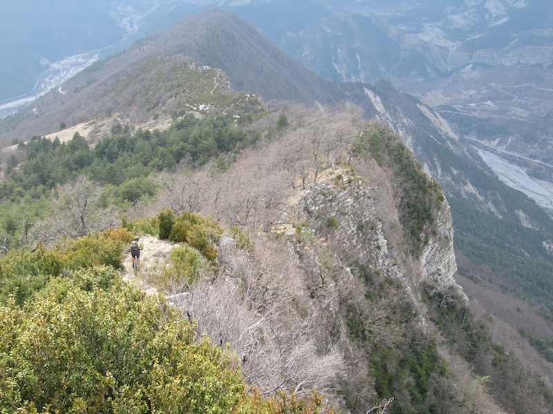 #9 La Pelau : La crête La Pelau : La crête