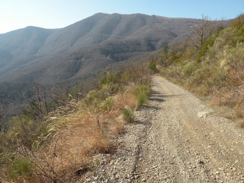 #1 Photo1 : Montée par la piste avec la Bigue au fond Photo1 : Montée par la piste avec la Bigue au fond
