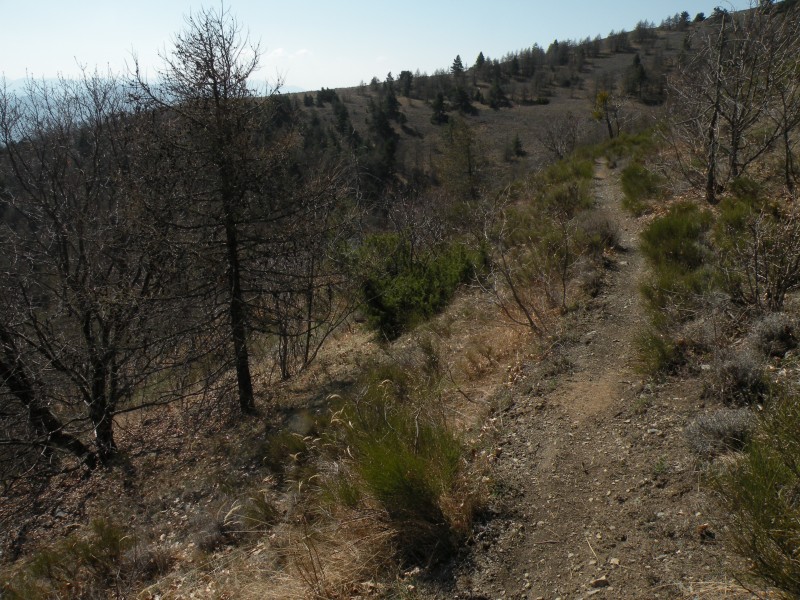 #3 Photo3 : Le sentier rejoint bientot celui qui descend de la Bigue Photo3 : Le sentier rejoint bientot celui qui descend de la Bigue