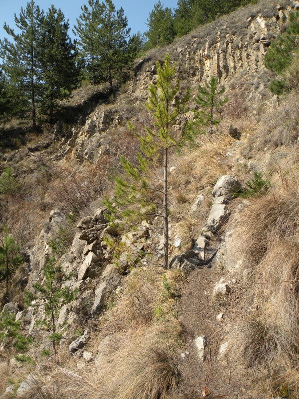 #11 photo11 : Il y a bien des endroits ou il faut porter/pousser photo11 : Il y a bien des endroits ou il faut porter/pousser