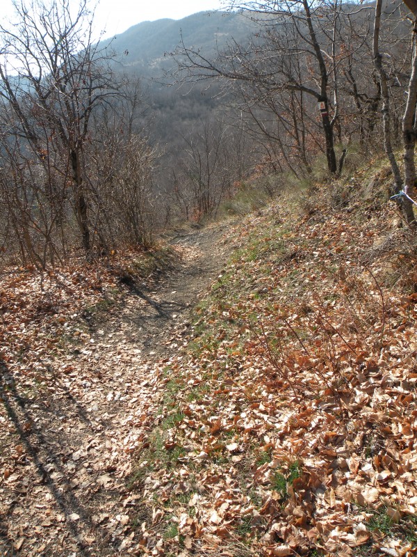 #2 photo2 : Début du sentier à partir du col de la Croix photo2 : Début du sentier à partir du col de la Croix
