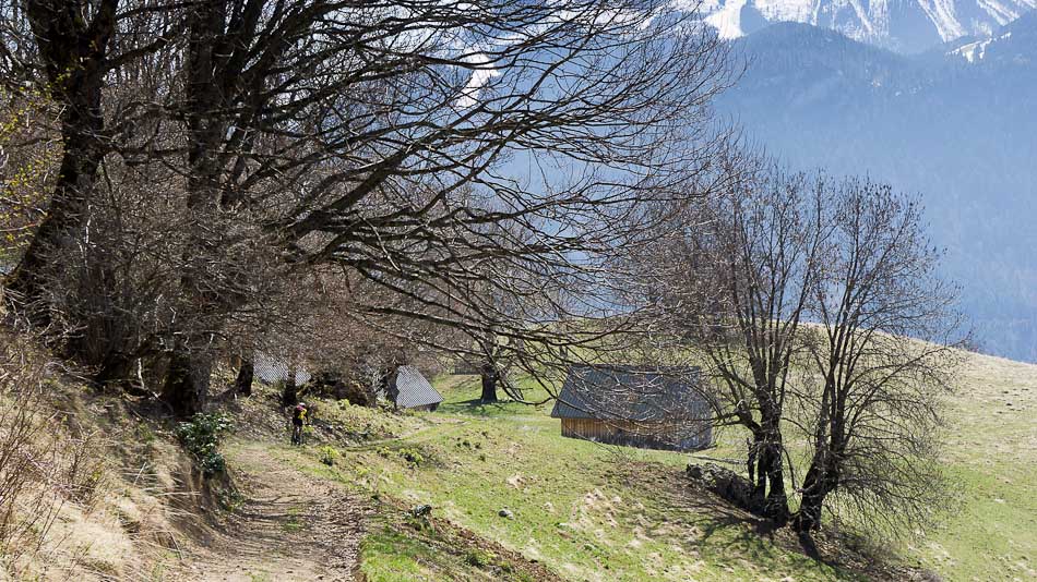 #5 Le Chenay : ca commence à verdir Le Chenay : ca commence à verdir
