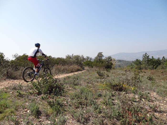 #2 Départ du sentier sud : Dans la garrigue. Départ du sentier sud : Dans la garrigue.
