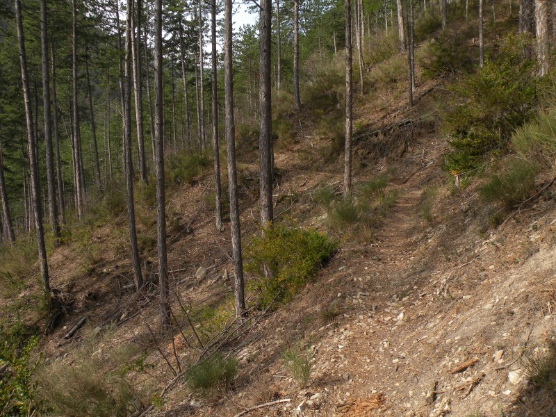 #1 photo1 : le sentier de montée, bien roulant photo1 : le sentier de montée, bien roulant