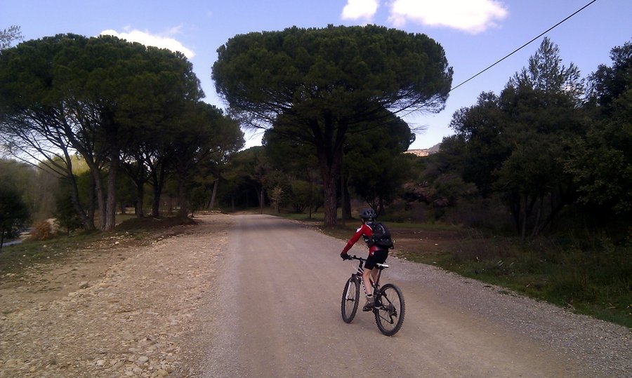 #1 Piste le long de l Piste le long de l'Endre : C'est quasiment une route