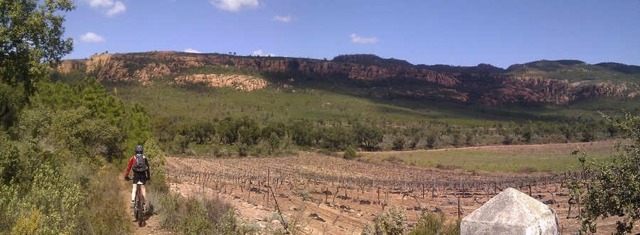 #10 Vignoble varois : Le paysage mérite le déplacement Vignoble varois : Le paysage mérite le déplacement