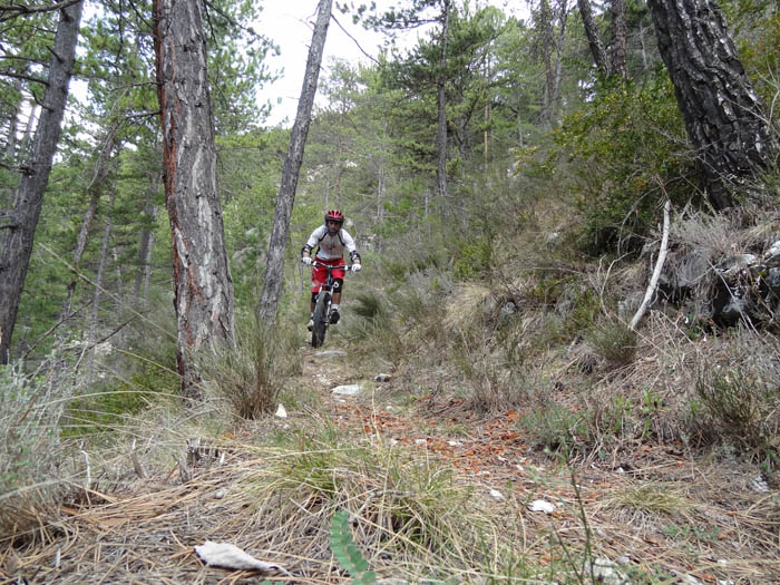 #11 Départ ravin des Palutes : Le haut du sentier. Départ ravin des Palutes : Le haut du sentier.
