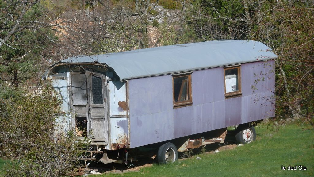 #5 Home sweet home : Je vous ai trouvé l Home sweet home : Je vous ai trouvé l'arme pour la familly Squalizé ;)