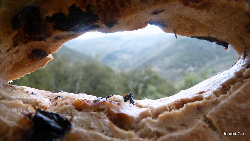#9 Fougasse : Et ce n Fougasse : Et ce n'est pas tout de voir les olives ...