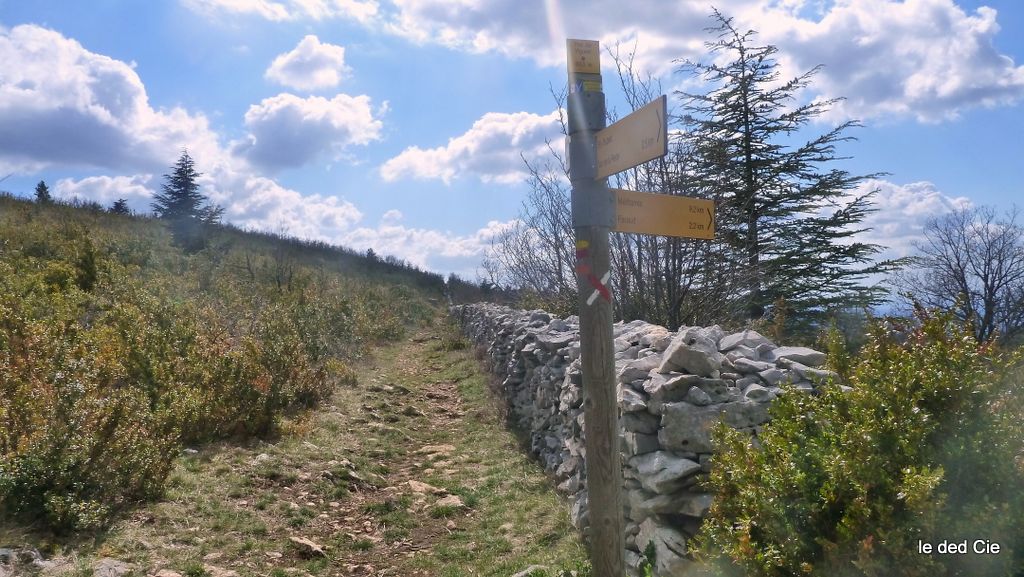 #13 Pas du Viguier : le Mur de la Peste Pas du Viguier : le Mur de la Peste
