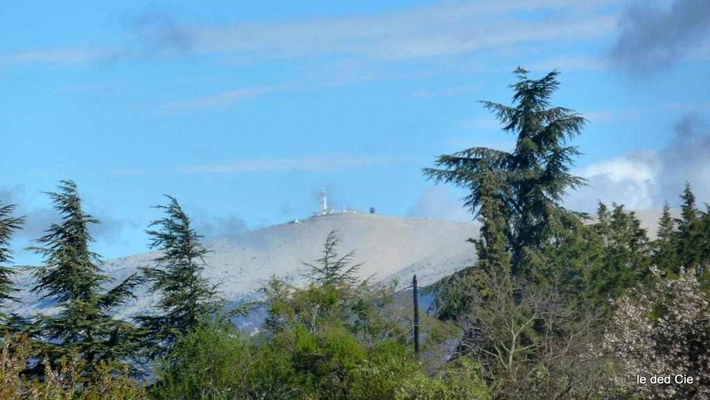 #4 Ventoux : On le voit souvent au détour d Ventoux : On le voit souvent au détour d'un chemin, d'une route