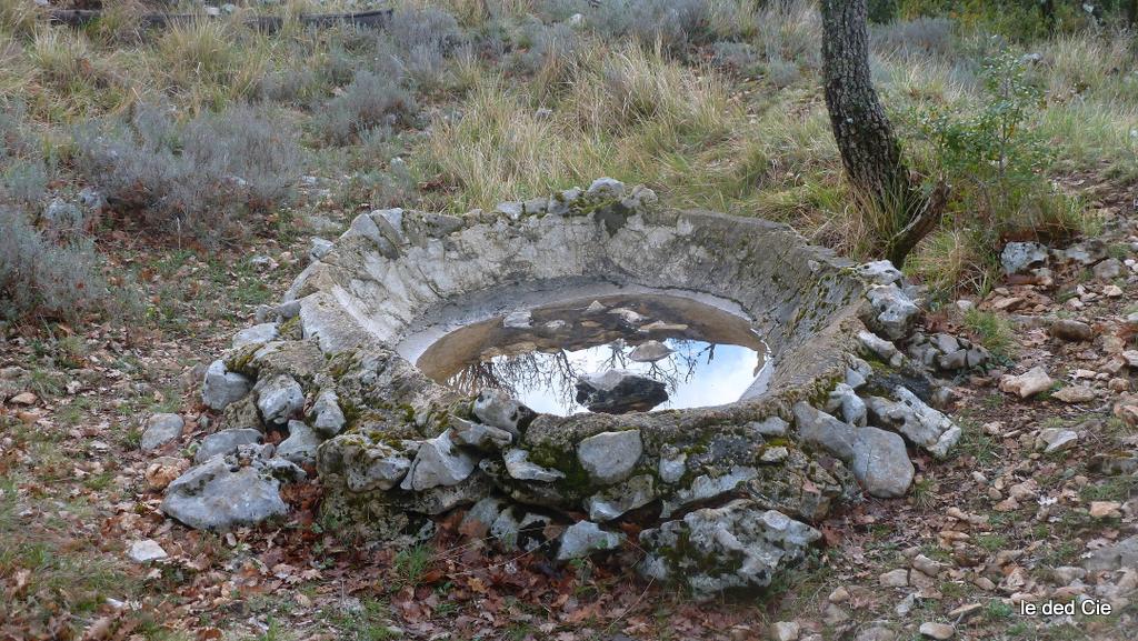 #6 Aguier : En cherchant bien, près des ruines, on trouve un peu d Aguier : En cherchant bien, près des ruines, on trouve un peu d'histoire