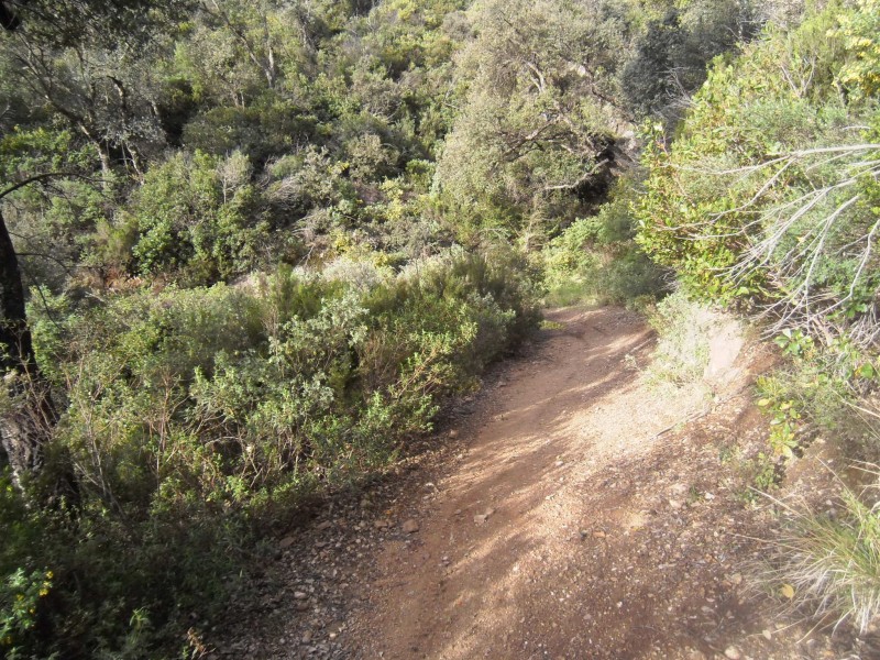 #4 Sentier de montée : Pour faire mentir Phil Ô, il y a même du sentier en montée. Sentier de montée : Pour faire mentir Phil Ô, il y a même du sentier en montée.