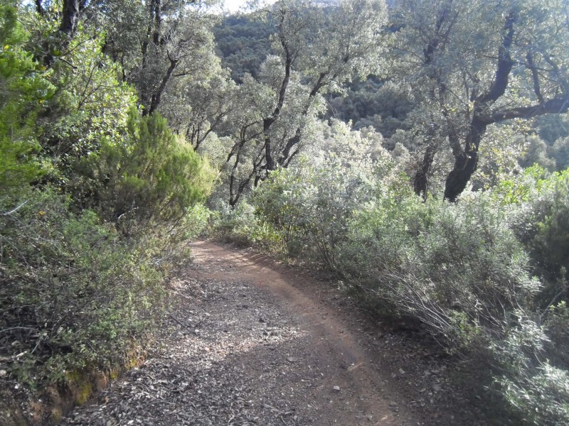 #5 Toujours du sentier : Le dos de la photo précédente. Toujours du sentier : Le dos de la photo précédente.