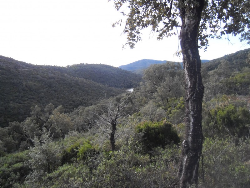 #2 Le vallon de montée : Pour le sud c Le vallon de montée : Pour le sud c'est bien vert