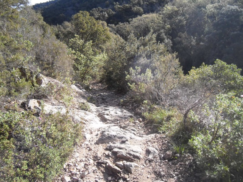 #10 Re bas du sentier : Ce n Re bas du sentier : Ce n'est pas tout lisse non plus, juste ce qu'il faut pour s'amuser.