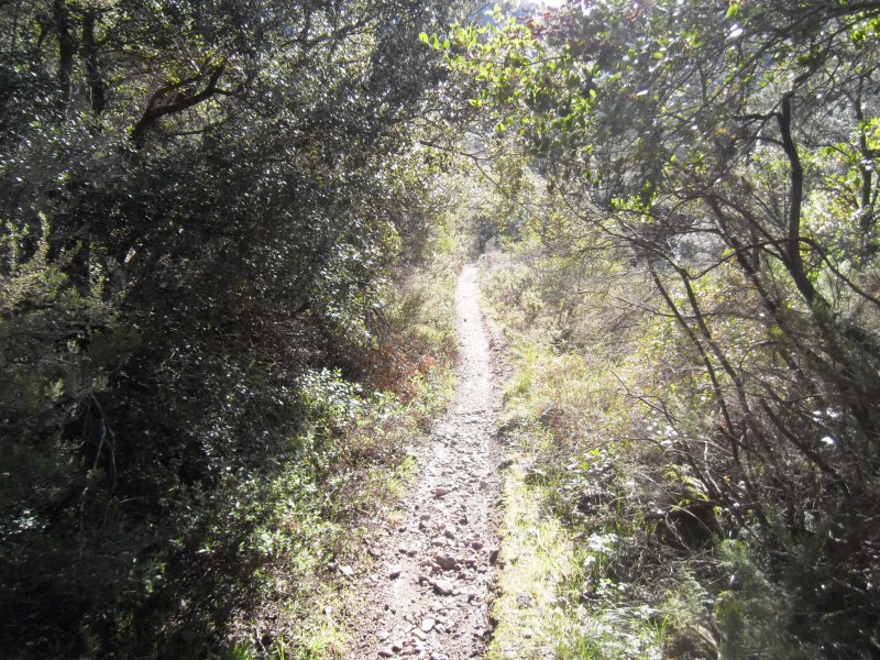 #9 Le bas du sentier : Final bien meilleur. Le bas du sentier : Final bien meilleur.