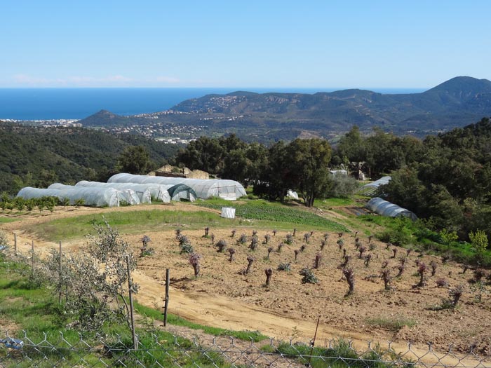 #1 Paysage pas moche : C Paysage pas moche : C'est beau l'Estérel par ce temps
