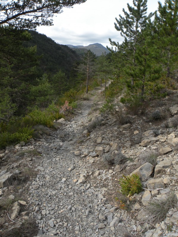 #1 photo1 : Le sentier roulant avant de récupérer la longue descente photo1 : Le sentier roulant avant de récupérer la longue descente
