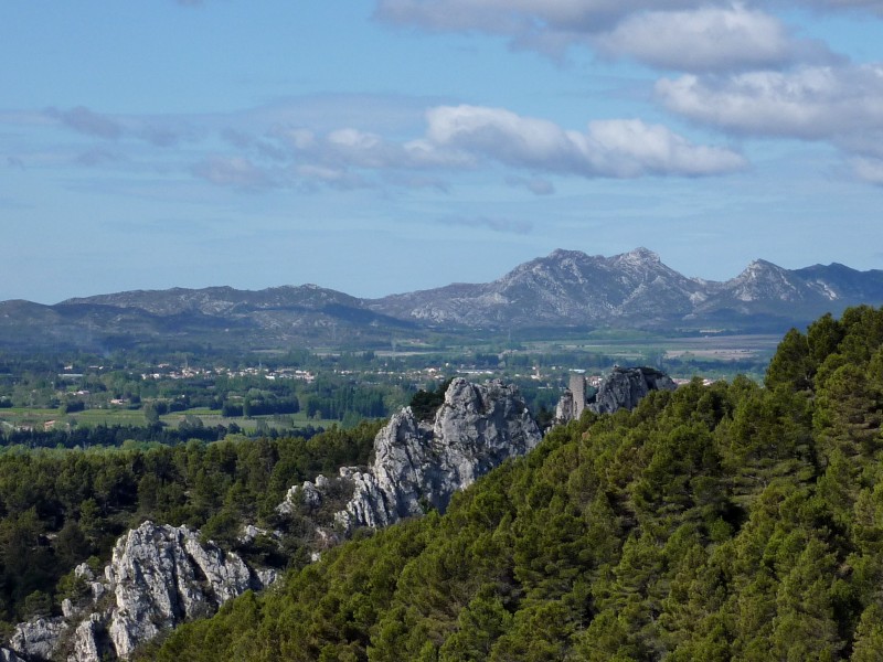 Les Alpilles : en toile de fond