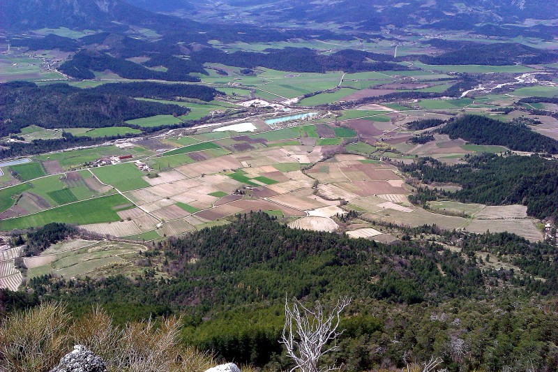#5 Le vignoble Diois : et juste en dessus, la forêt de pins de la Baume. Le vignoble Diois : et juste en dessus, la forêt de pins de la Baume.