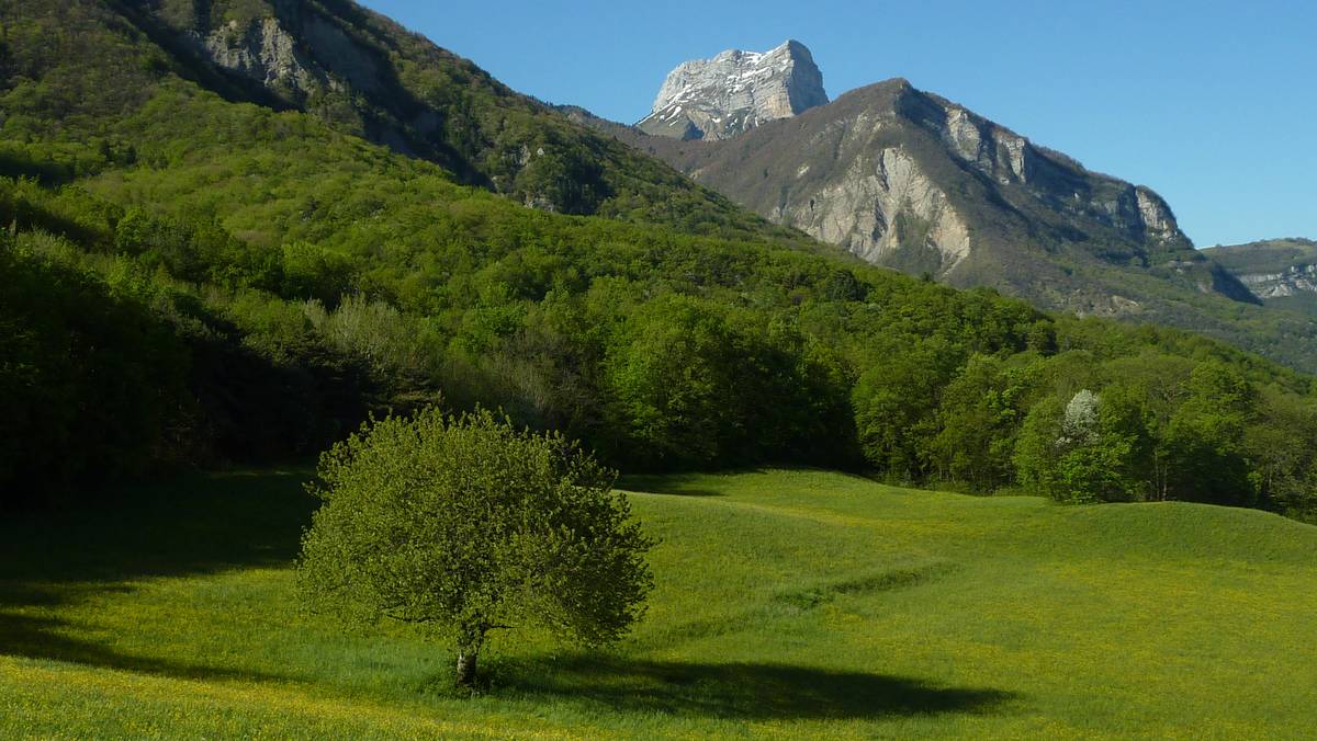 #6 Dent de Crolles : le Pas de l Dent de Crolles : le Pas de l'Oeille a succombé en 3 jours