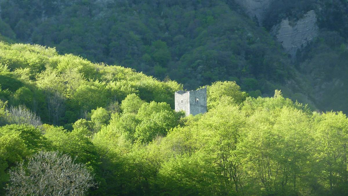 Tour d'Arces : camouflée dans son ecrin de verdure
