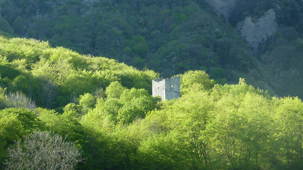#7 Tour d Tour d'Arces : camouflée dans son ecrin de verdure
