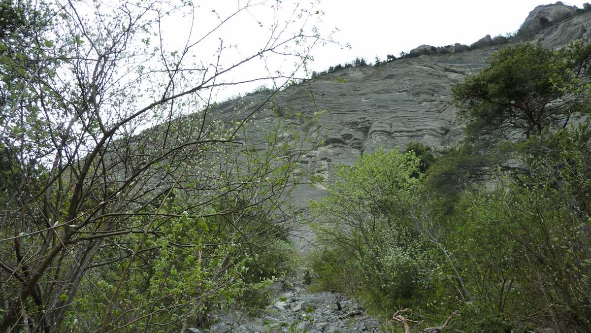 #5 Falaise : la crete, 250m plus haut Falaise : la crete, 250m plus haut