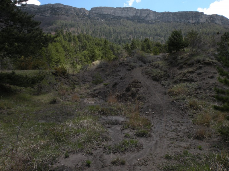 #3 Photo3 : Le sentier sous Pierre St Martin est bien marqué avec de jolis passages en terre noire mais un peu trop gras par endroit Photo3 : Le sentier sous Pierre St Martin est bien marqué avec de jolis passages en terre noire mais un peu trop gras par endroit
