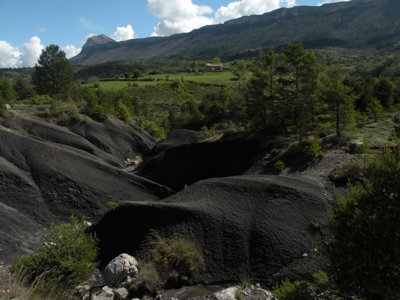 #1 Photo1 : Les terres noires font ressortir des prairies. La barre des Dourbes au fond. Photo1 : Les terres noires font ressortir des prairies. La barre des Dourbes au fond.