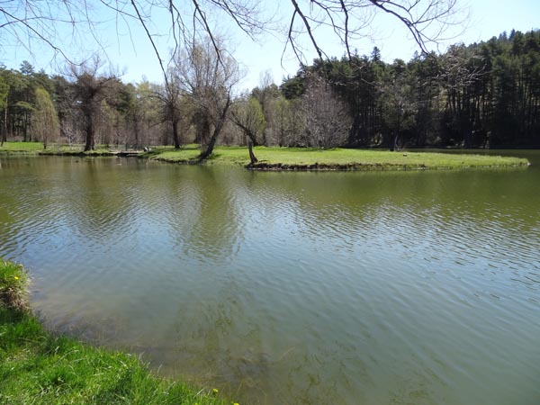 Lac de Thorenc : Un endroit que d'habitude je fréquente plutôt avec les enfants, pour les pique-niques familiaux.