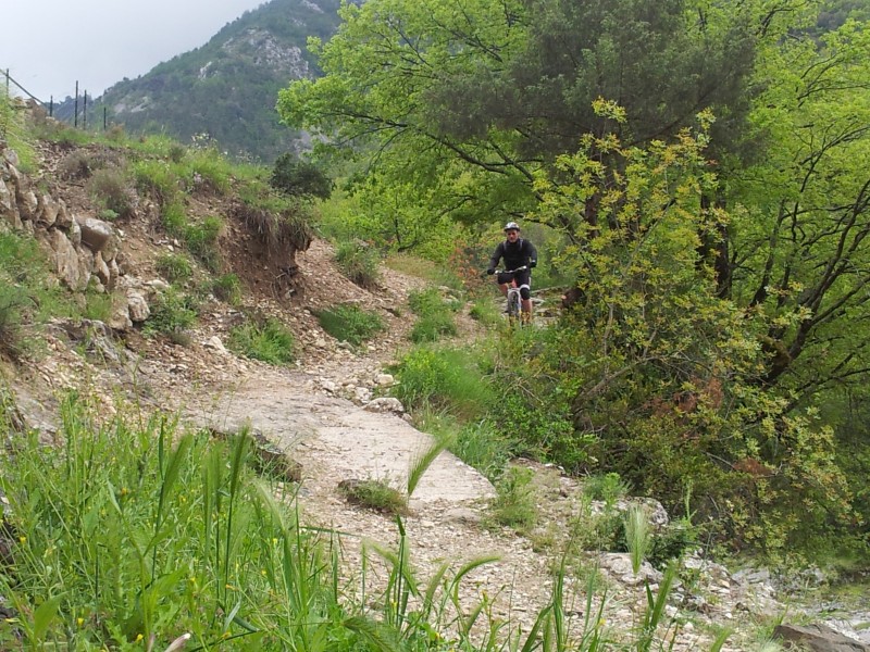 #2 Sentier Botanique : Sentier Botanique, pour éviter la route du retour d Sentier Botanique : Sentier Botanique, pour éviter la route du retour d'Olivetta