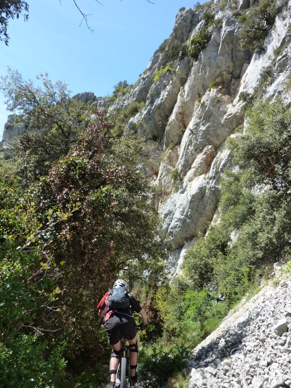 #7 Vallon des Buisses : Bien sauvage ce sentier Vallon des Buisses : Bien sauvage ce sentier