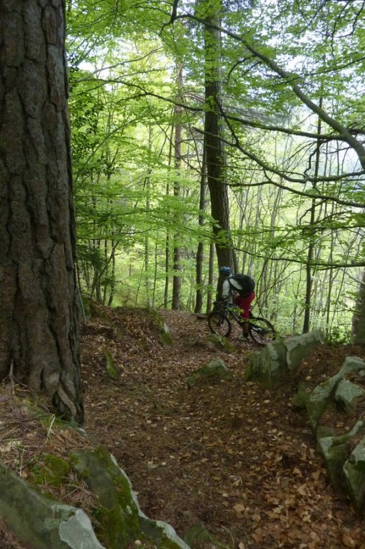 #34 Descente de Rocaillon : D@vid dans cette descente absolument fabuleuse sous la route Descente de Rocaillon : D@vid dans cette descente absolument fabuleuse sous la route