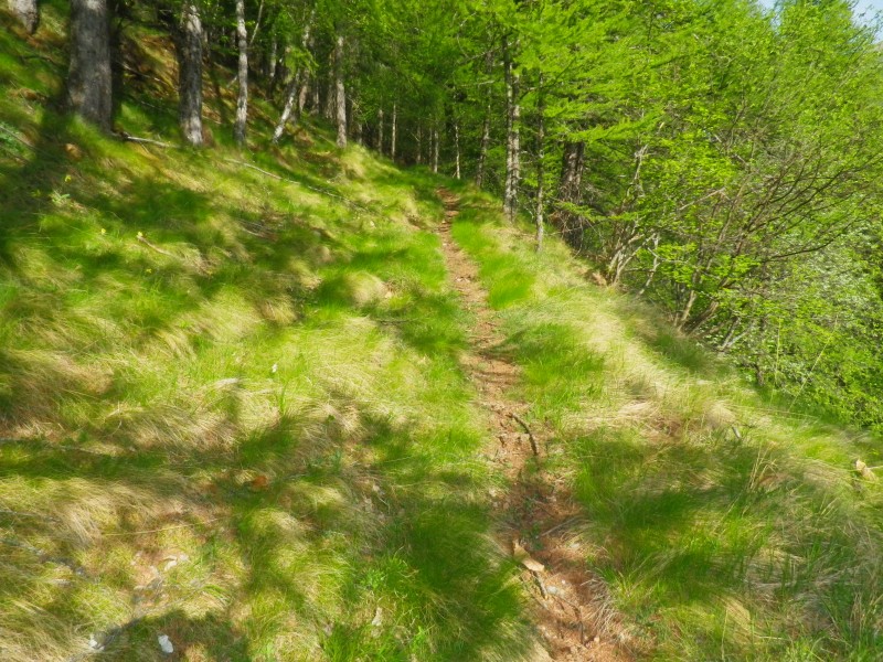 #1 pimia : traversée vers lechio pimia : traversée vers lechio