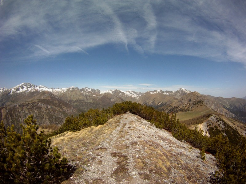 #8 Summit ! : Cime de l Summit ! : Cime de l'Agnelino.