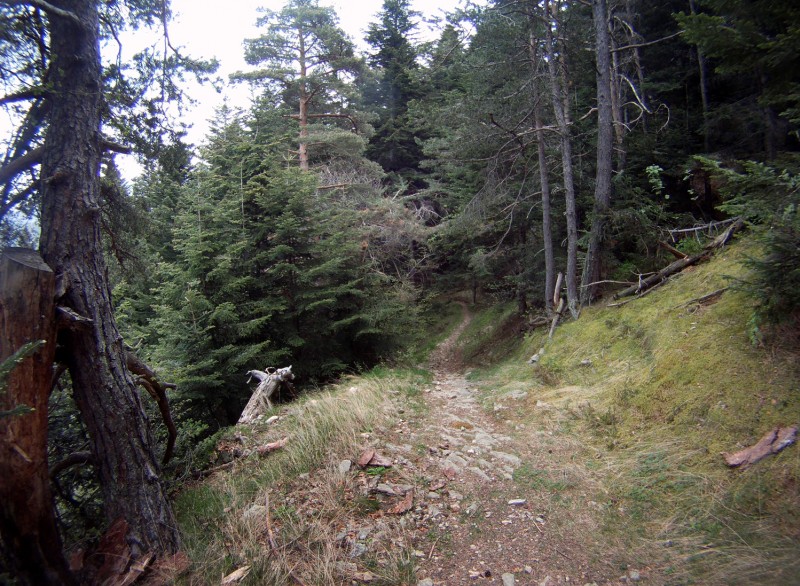 #12 Départ de la dernière descente : "ça sent la bourre" comme dirait un copain. Je suis un peu cuit, mais il faut lacher les freins, sinon on se déconcentre, n Départ de la dernière descente : "ça sent la bourre" comme dirait un copain. Je suis un peu cuit, mais il faut lacher les freins, sinon on se déconcentre, n'est-ce pas...(p'têtre une vidéo à suivre)