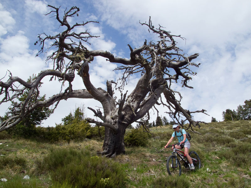 #4 Bien tourmenté ! : Juste avant d Bien tourmenté ! : Juste avant d'attaquer la descente.