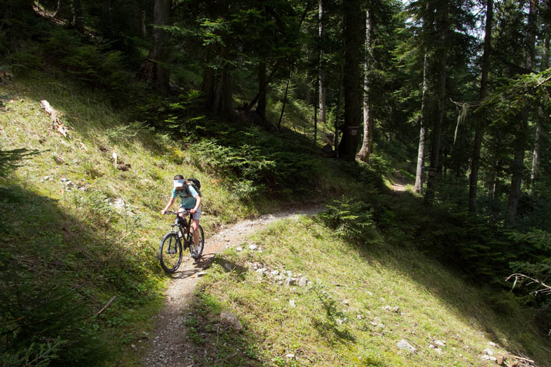 #1 Montée dans le Bois Noir : Le sentier permet de couper la piste et de monter plus rapidement. Montée dans le Bois Noir : Le sentier permet de couper la piste et de monter plus rapidement.
